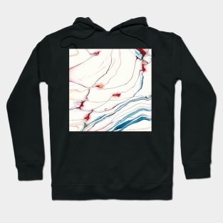 Abstraction 216 Hoodie